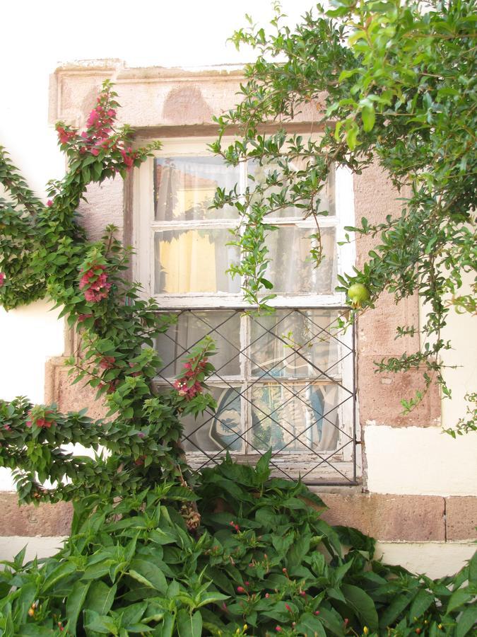 Eolos House Cunda Ayvalı Exterior foto